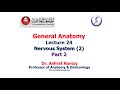 Lecture 24 - Nervous System (2) (Part 2) (General Anatomy)