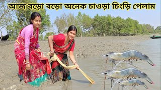 সুন্দরবন নদীতে গিয়ে কত বড়ো বড়ো চাওড়া চিংড়ি মাছ পেলাম ll Nandita Sundarban life