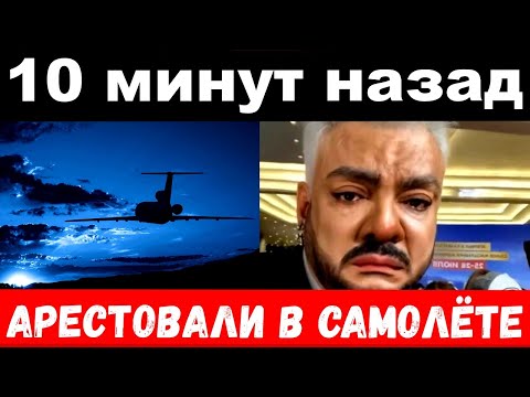 10 минут назад /  арестовали в самолёте / чп Киркоров , Лолита