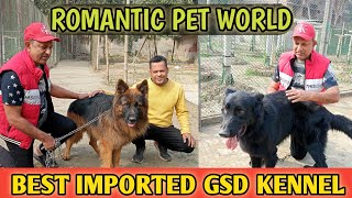 German Shepherd farm 2025|Imported gsd price 2025|Dog farm in Bangladesh 2025|Gsd puppy price 2025