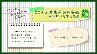 【22年産】調教動画③　BTC坂路コース　2023年11月下旬撮影