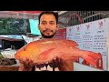 Amazing Big Red Snapper Fish Cutting Skills Live In Bangladesh Fish Market 2021