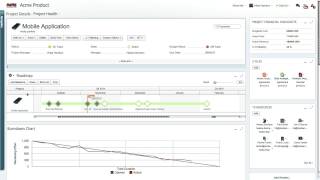 Clarizen Custom Panels Tutorial