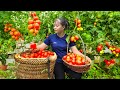 Growing Tomatoes - Cutting Wood For Sell - Farm Life | Tiểu Vân Daily Life