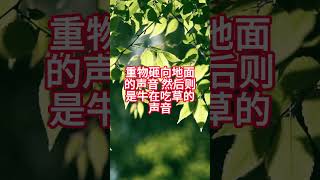 牛吃草 #shorts #故事 #story #恐怖 #嚇人 #害怕