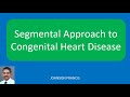 Segmental Approach to Congenital Heart Disease