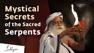12 Mystical Serpents You Didn’t Know Existed | Sadhguru