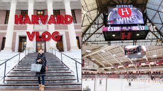 (中文English Subs) ❤️ Elaine Hau - Vlog: 哈佛校園生活 Harvard School Life 📚