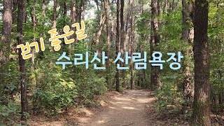 수리산 산림욕길