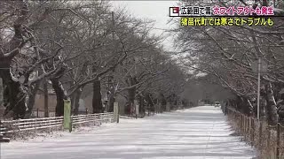 夜の森の桜並木も雪…　軽油のキャンピングカーは思わぬトラブルに…《福島県・寒波襲来》 (23/01/25 18:45)