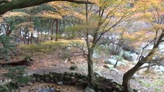 宮妻峡　紅葉　四日市市　三重県