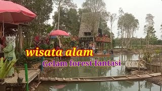 Wisata Alam Gelam Forest fantasi