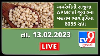 Mandi : અમરેલીની રાજુલા  APMCમાં જુવારના મહત્તમ ભાવ રૂપિયા 6055 રહ્યા | Tv9News