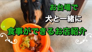 お台場で犬と一緒に食事ができるお店紹介