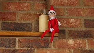 Meet Blizzard - My Elf on the Shelf