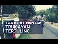 Parang - Tak Kuat Nanjak, Truk Bermuatan Ayam Terguling di Tanjakan Joketro Magetan