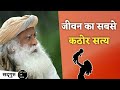 जीवन का सबसे कठोर सत्य /sadhguru /gyan of life #shorts