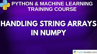 Handling String Arrays in NumPy