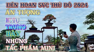 Quảng Tùng| Chia sẻ Quý vị! BẤT NGỜ với khu trưng bày các TP Bonsai mini, LIÊN HOAN SVC THỦ ĐÔ 2024