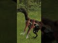 Therizinosaurus Vs Pyroraptor Pack!!!