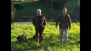 Highseas Gundog Training Introduction Video.