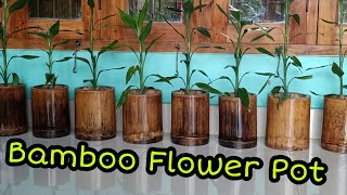 বাঁহেৰে নিৰ্মিত ফুলৰ টাব | মোৰ বাঁহৰ টাবকেইটা | Bamboo Flower Pot | Bamboo pot