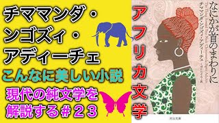 【書評】ナイジェリアとアメリカの関係、紛争したりカルトしたり。チママンダ・ンゴズィ・アディーチェ『なにかが首のまわりに』【純文学】