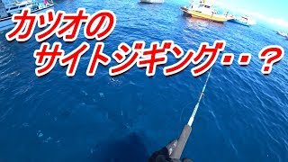 見えているカツオをジギング？で釣る　（高画質設定で見てください）