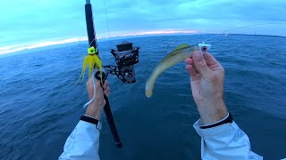 Fall Ocean Bucktailing and Shad Jigging - Montauk