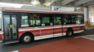 【Japan Bus No. 30】Tokyu  Bus  \u0026Odakyu Bus 小田急バス　東急バス