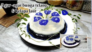 AGAR-AGAR BUNGA TELANG❗️BUNGA NYA BOLEH DI MAKAN❗️