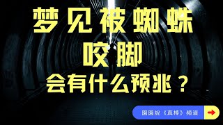 夢見被蜘蛛咬腳是什麼徵兆?夢見被蜘蛛咬腳好不好?夢見被蜘蛛咬腳會有什麼預兆?