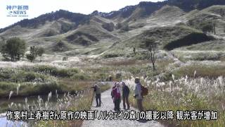 砥峰高原のススキが見ごろ