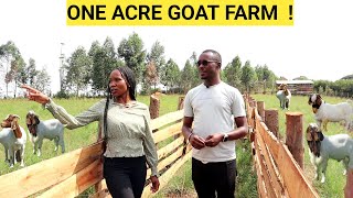 How He Makes PROFITS On An ACRE Of LAND! | Goat Demo FARM