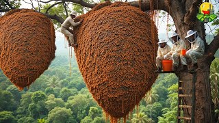 CÓMO se RECOGE la MIEL ROJA más PELIGROSA del MUNDO desde ACANTILADOS  EXTREMOS 🧗🍯