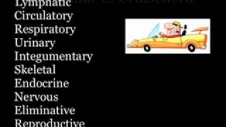 Anatomy 12 Systems of the Body, Massage, Acronym Muscular L. Cruisenerd