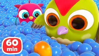 Baby cartoons. Full episodes cartoon & Hop Hop the Owl 1-Hour cartoon for kids.