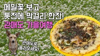 '가고싶은섬' 미숙씨의 관매도 가을여행 [섬섬썸]