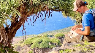 Schönes La Palma. Wanderung im Norden der Insel (Las Tricias). Abends dann wieder zurück zum Vulkan.