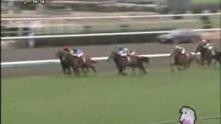 2009 中山記念 NAKAYAMA KINEN