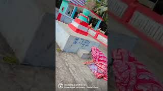 ତୋ ହାତେ ବାସୁଲୋ ମୋ ଘରେ ମାଣ 🥰🥰🥰#shorts #video #viral