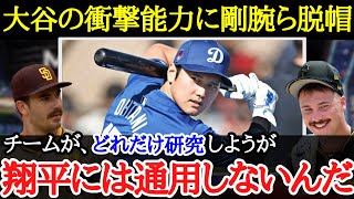 【大谷翔平】スキーンズやキングらMLBを代表する剛腕らが語る大谷の調整能力とは【海外の反応】