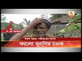 কাকদ্বীপে শুরু করকনাথ মুরগি পালন কালো মাংসে সারে রোগ দাবি বিশেষজ্ঞদের abp ananda