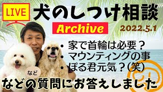 犬のしつけ相談ライブ☆ゲリラライブ 【アーカイブ 2022/05/01】