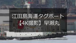 江田島海運タグボート【4K撮影】早瀬丸