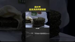 全喝过的人，你猜得是什么身份？#茶知识#新农人计划2021