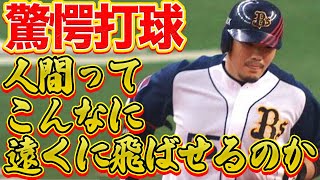 【驚愕打球】人間ってこんなに遠くに飛ばせるのか【特大本塁打】