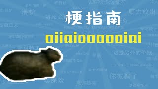 oiiaioooooiai是什么梗【梗指南】