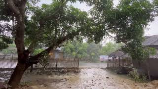 Suasana Sore yang sejuk di kampung, tiba-tiba turun hujan deras