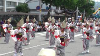 よさこい連・伊呂波　～2016高知よさこい祭り・本祭1日目(梅ノ辻競演場)